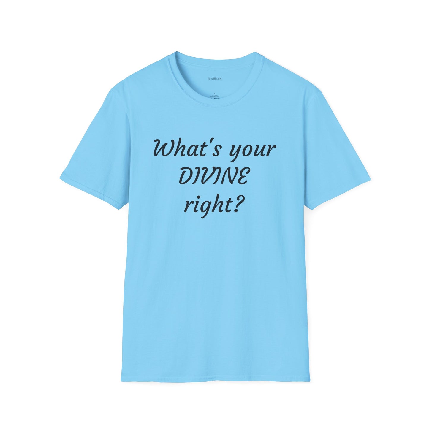 What's your DIVINE right? - Unisex Softstyle T-Shirt 100% Cotton Graphic