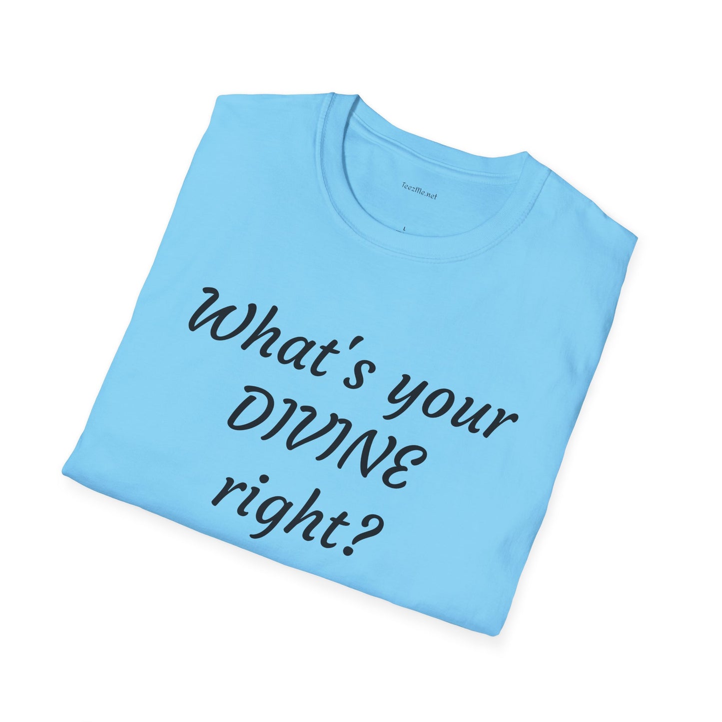 What's your DIVINE right? - Unisex Softstyle T-Shirt 100% Cotton Graphic