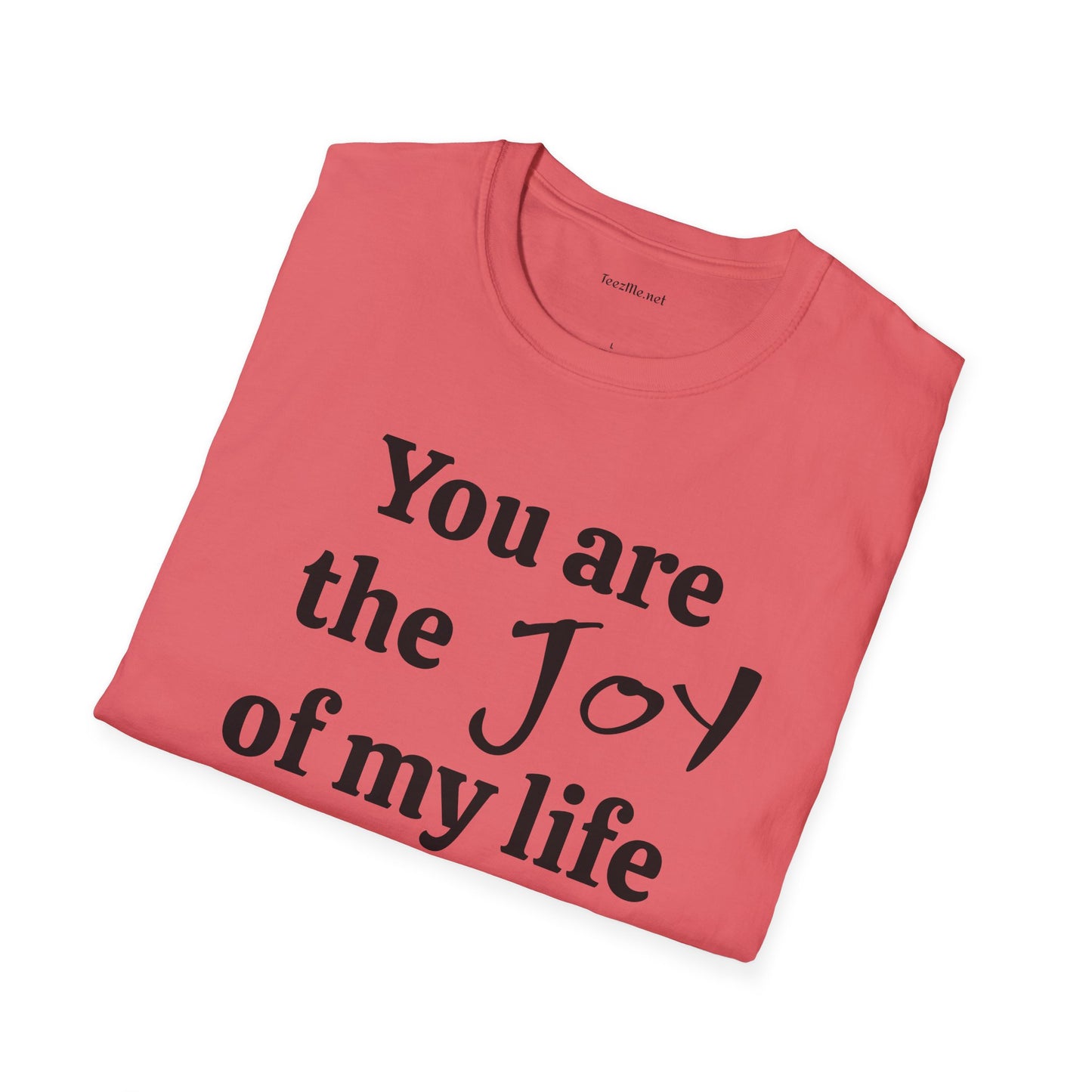 You are the Joy of my life - Unisex Softstyle T-Shirt 100% Cotton Graphic