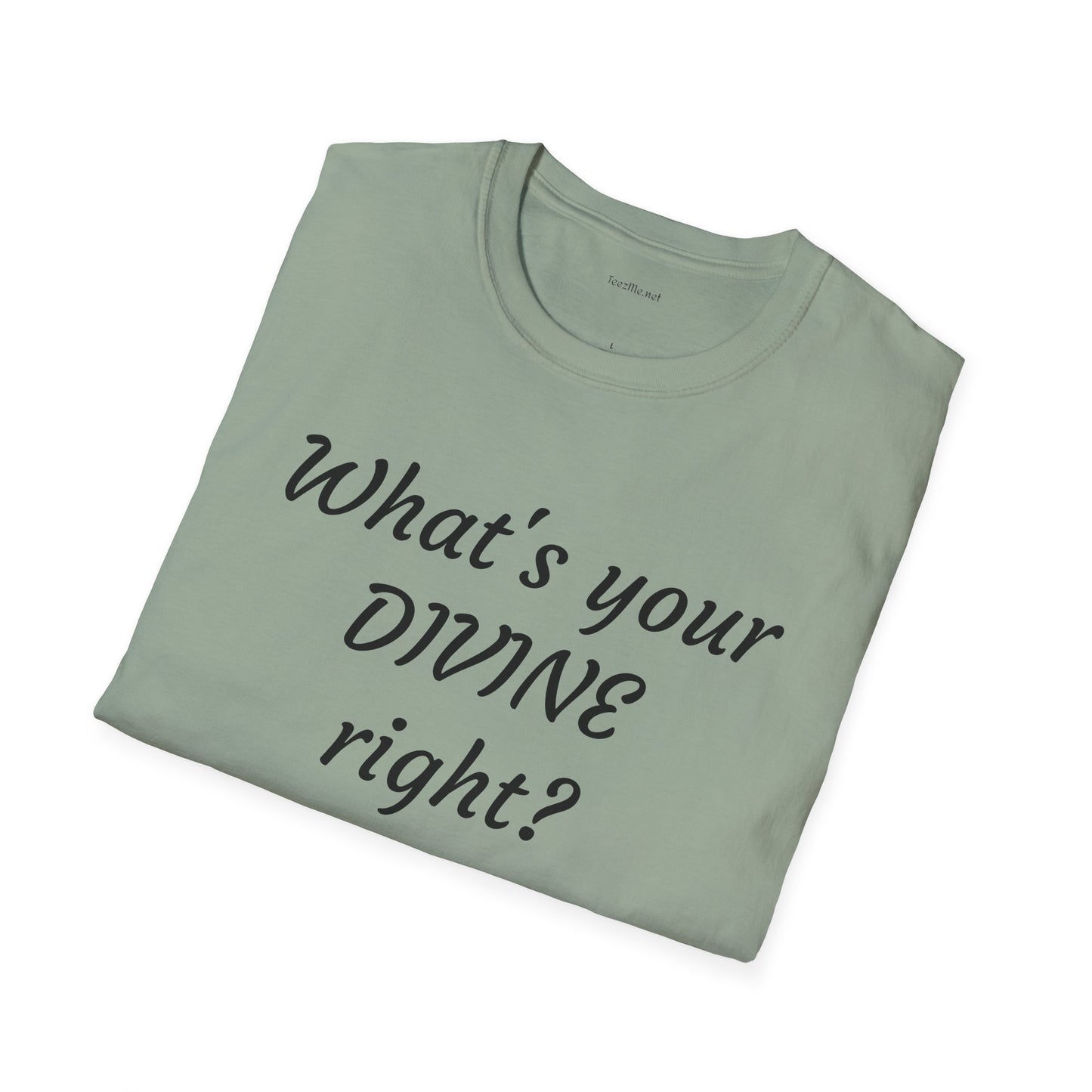 What's your DIVINE right? - Unisex Softstyle T-Shirt 100% Cotton Graphic