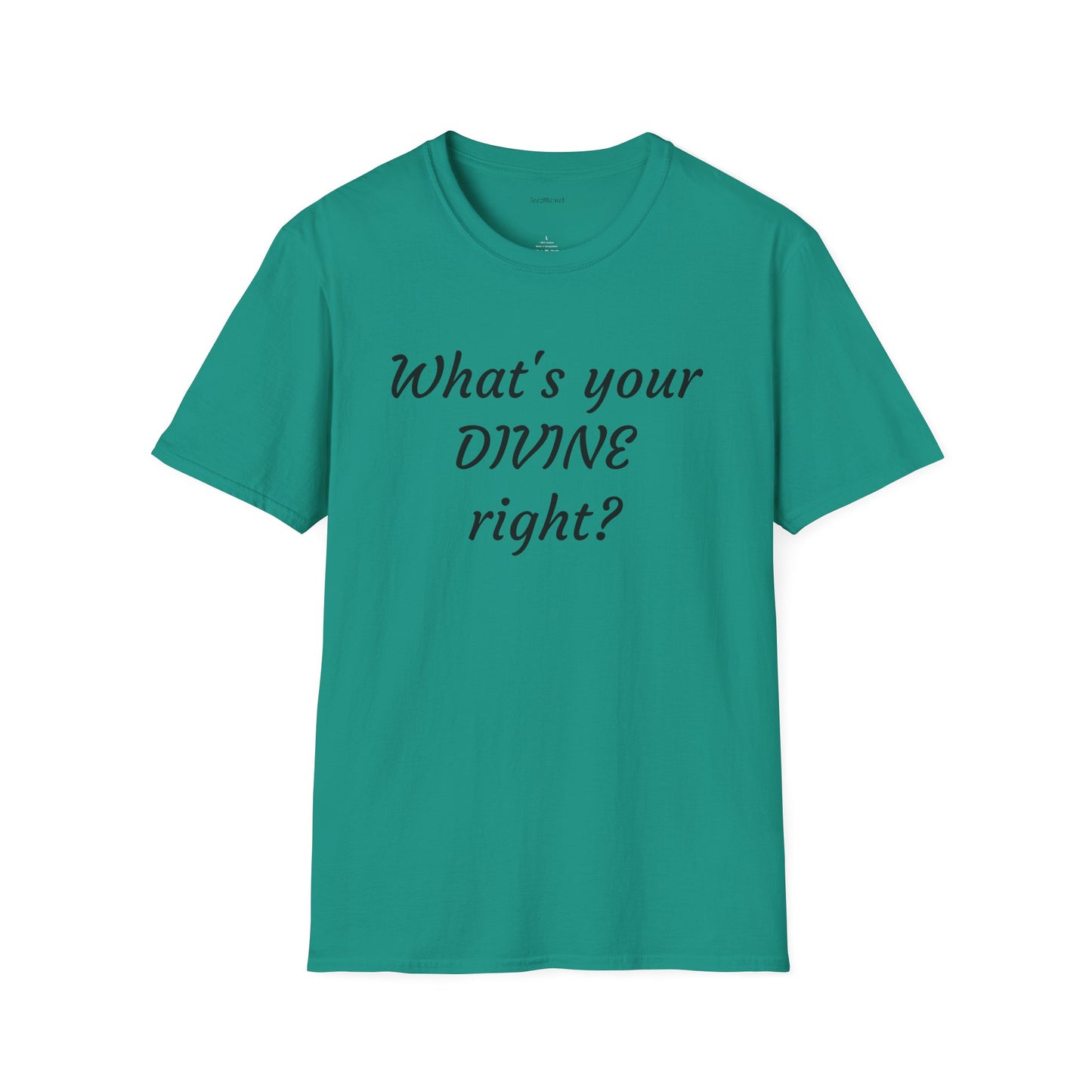 What's your DIVINE right? - Unisex Softstyle T-Shirt 100% Cotton Graphic