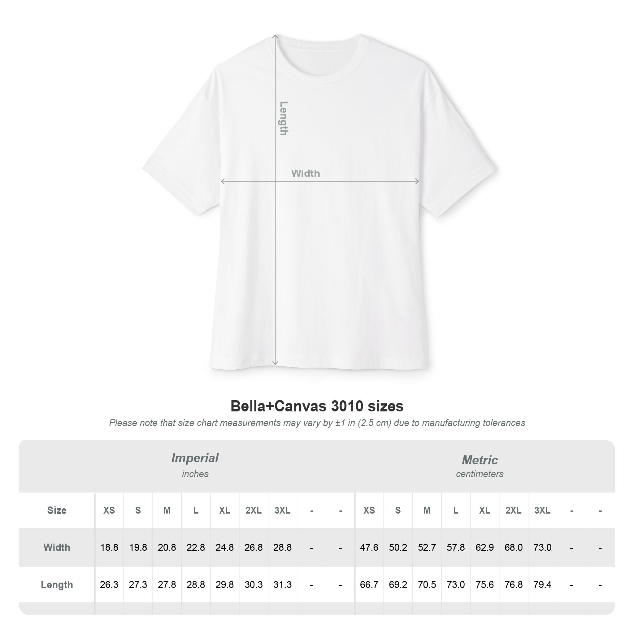 Sword & Wing Graphic Tee — Gothic Dragon Wing Shirt (print on back)