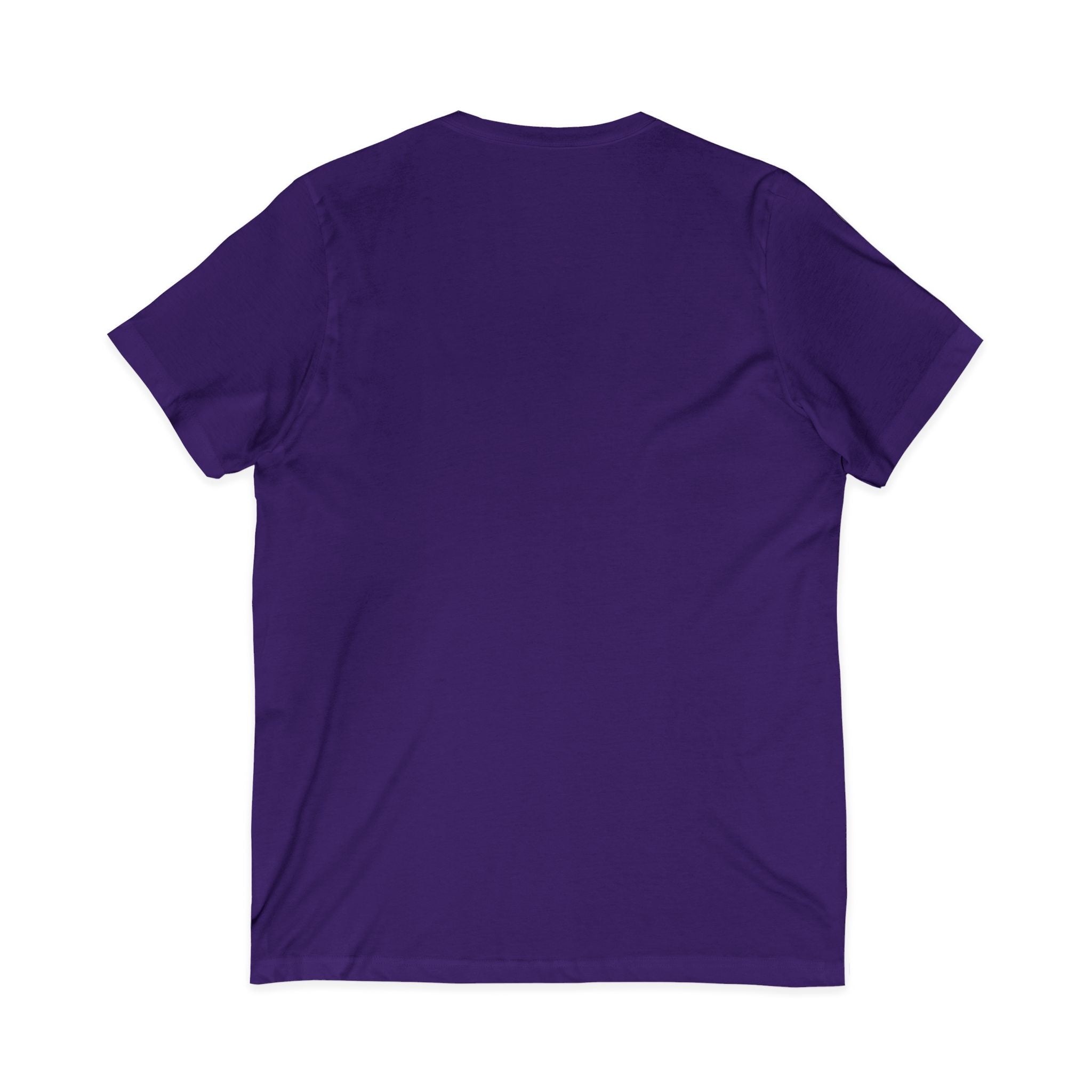V-Neck Tee — "I'M JUST HERE TO PAY FOR EVERYTHING"  Funny Sarcastic Statement Shirt