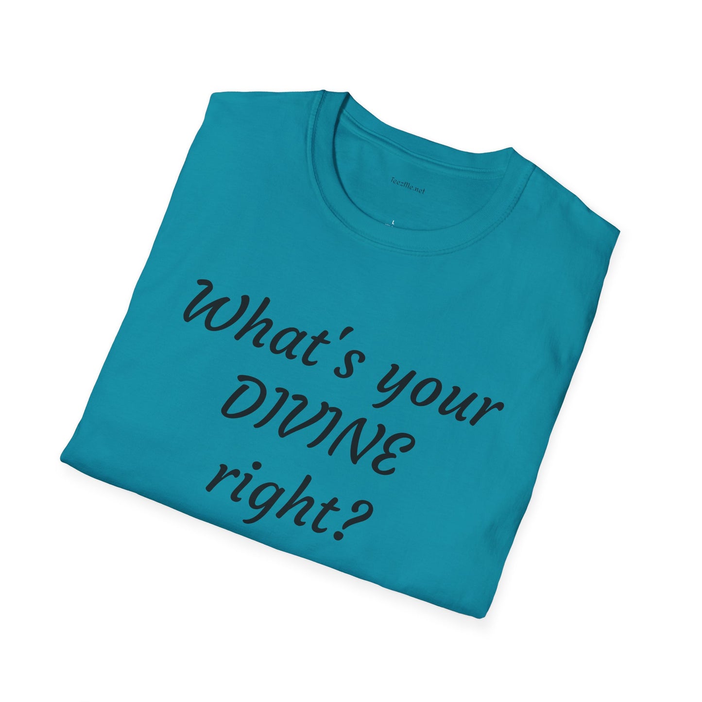 What's your DIVINE right? - Unisex Softstyle T-Shirt 100% Cotton Graphic